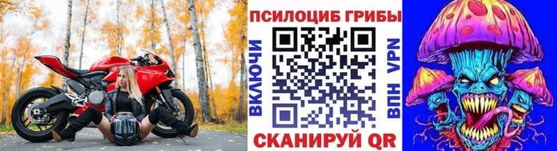 Псилоцибиновые грибы Cubensis  Тарко-Сале 